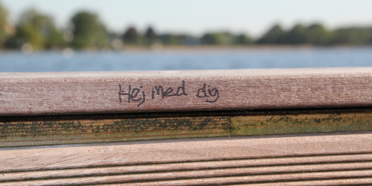 Hvorfor er det svært at være alene?