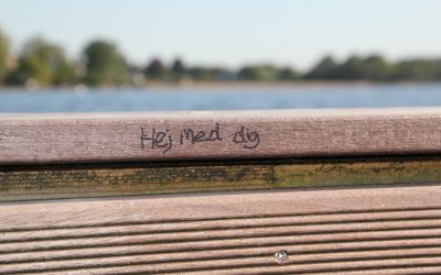 Hvorfor er det svært at være alene?