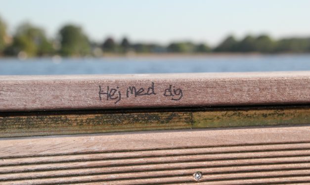 Hvorfor er det svært at være alene?